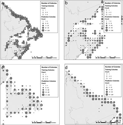 Predicting Seabird Foraging Habitat for Conservation Planning in Atlantic Canada: Integrating Telemetry and Survey Data Across Thousands of Colonies